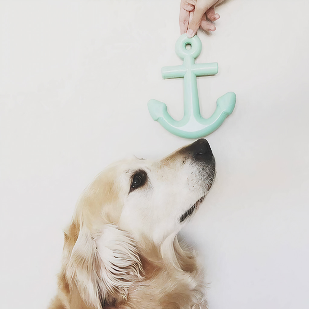 Anchors Aweigh Rubber Dog Toy - Image 3